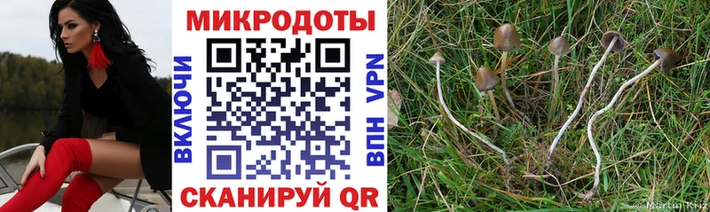 Галлюциногенные грибы Magic Shrooms  Купить закладки  Луга 